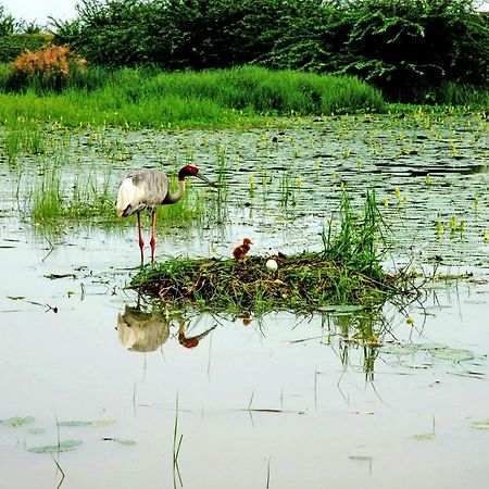 Ibishouse Farm Stay Bharatpur Luaran gambar