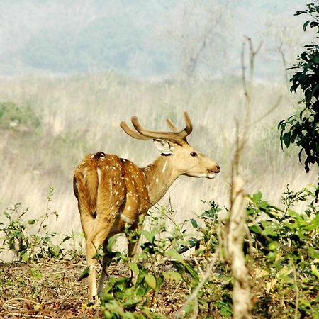 Ibishouse Farm Stay Bharatpur Luaran gambar