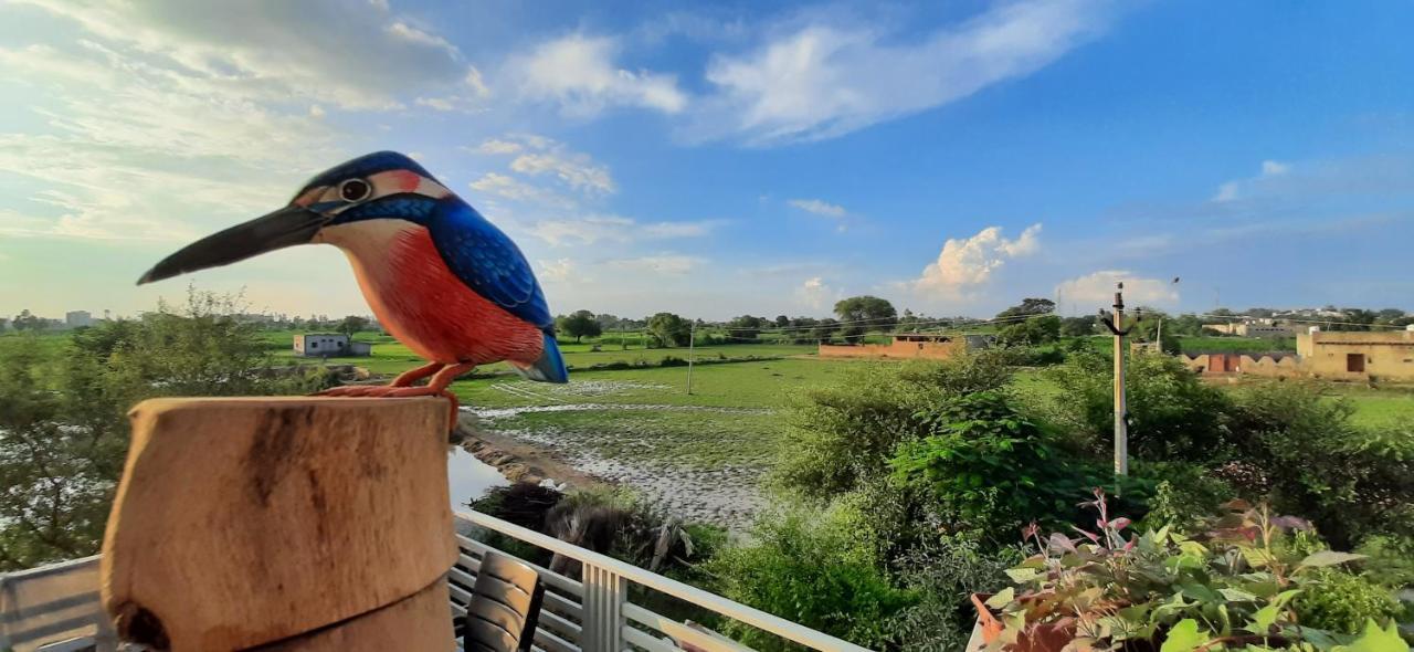 Ibishouse Farm Stay Bharatpur Luaran gambar