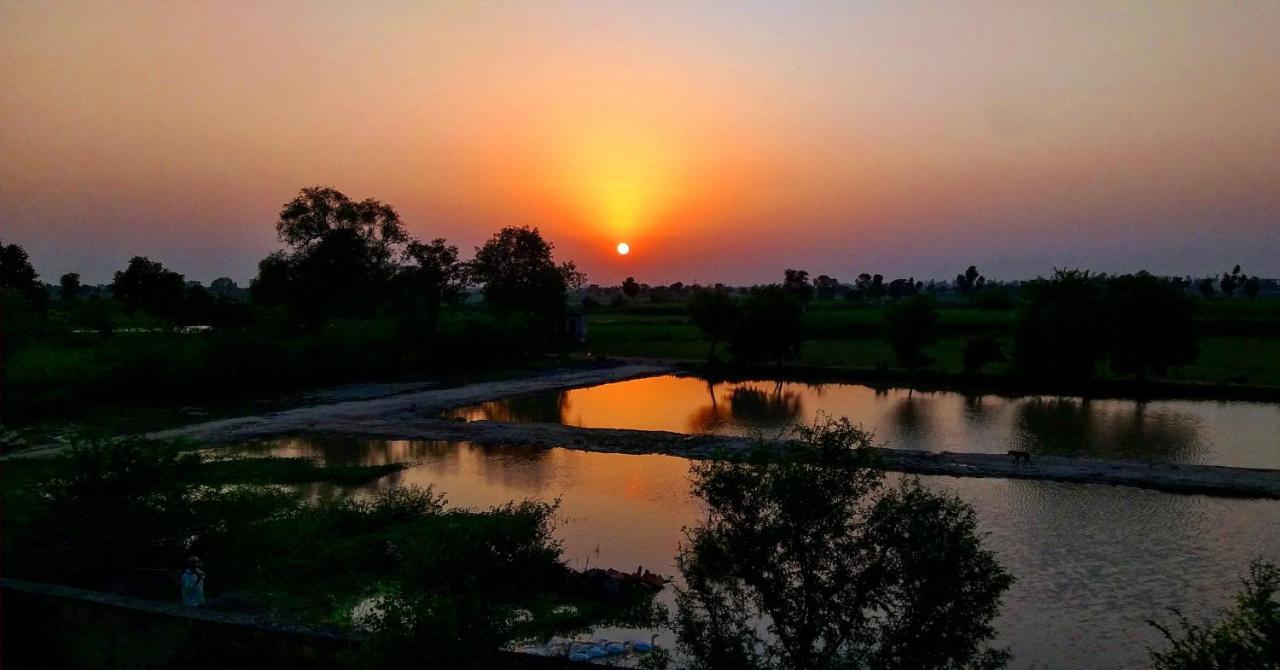 Ibishouse Farm Stay Bharatpur Luaran gambar