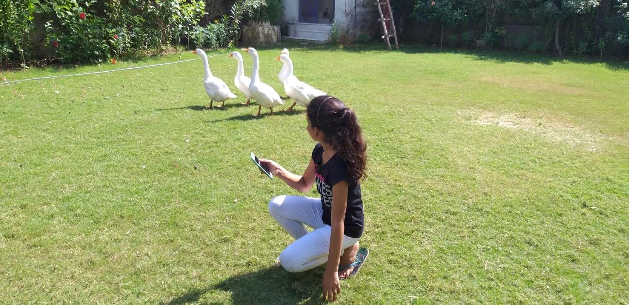 Ibishouse Farm Stay Bharatpur Luaran gambar